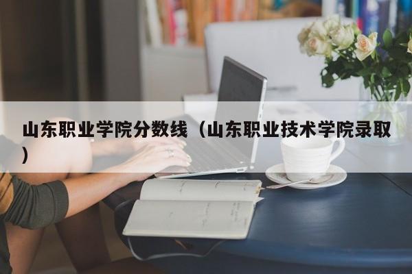 山东职业学院分数线（山东职业技术学院录取）