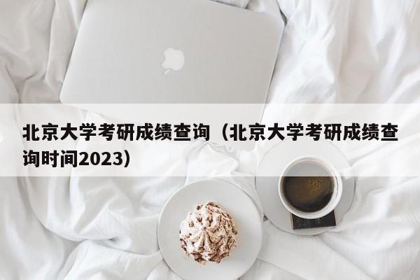 北京大学考研成绩查询（北京大学考研成绩查询时间2023）