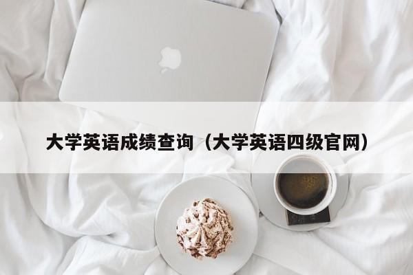 大学英语成绩查询（大学英语四级官网）