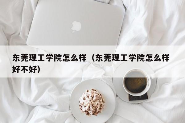 东莞理工学院怎么样（东莞理工学院怎么样 好不好）