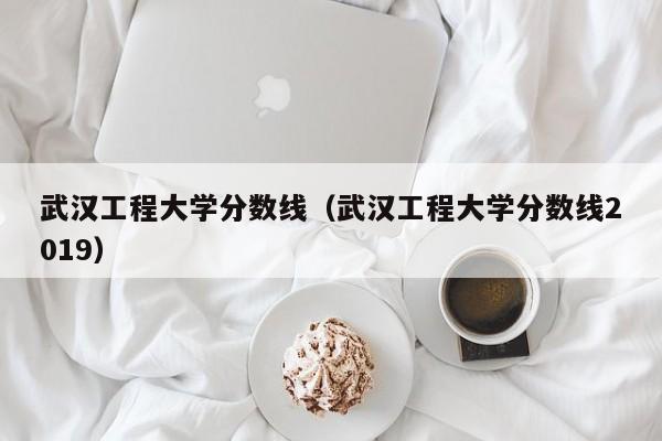 武汉工程大学分数线（武汉工程大学分数线2019）