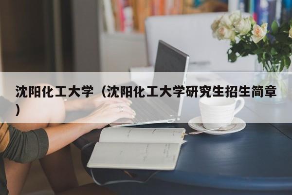 沈阳化工大学（沈阳化工大学研究生招生简章）