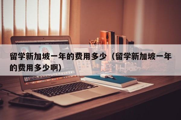 留学新加坡一年的费用多少（留学新加坡一年的费用多少啊）