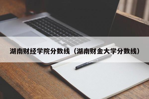 湖南财经学院分数线（湖南财金大学分数线）