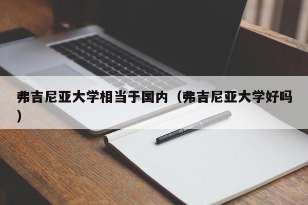 弗吉尼亚大学相当于国内（弗吉尼亚大学好吗）