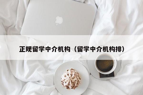 正规留学中介机构（留学中介机构排）