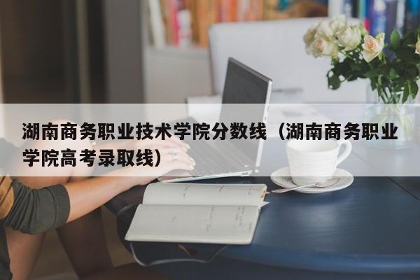 湖南商务职业技术学院分数线（湖南商务职业学院高考录取线）