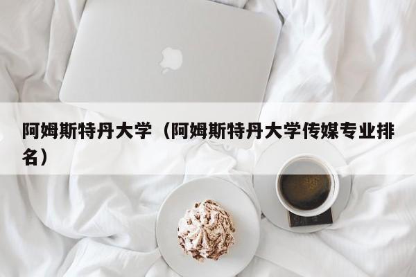 阿姆斯特丹大学（阿姆斯特丹大学传媒专业排名）