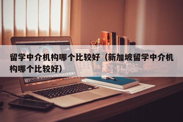 留学中介机构哪个比较好（新加坡留学中介机构哪个比较好）