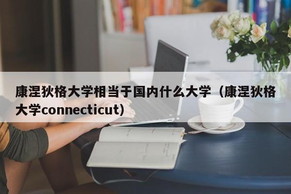 康涅狄格大学相当于国内什么大学（康涅狄格大学connecticut）