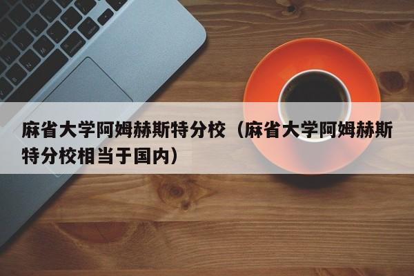 麻省大学阿姆赫斯特分校（麻省大学阿姆赫斯特分校相当于国内）