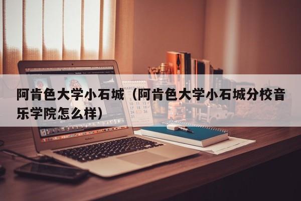 阿肯色大学小石城（阿肯色大学小石城分校音乐学院怎么样）