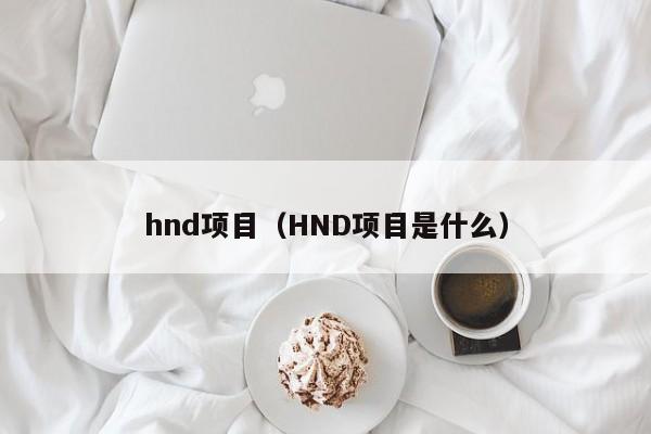 hnd项目（HND项目是什么）