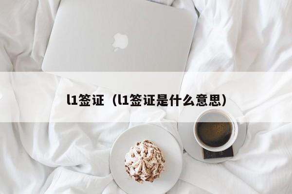 l1签证（l1签证是什么意思）